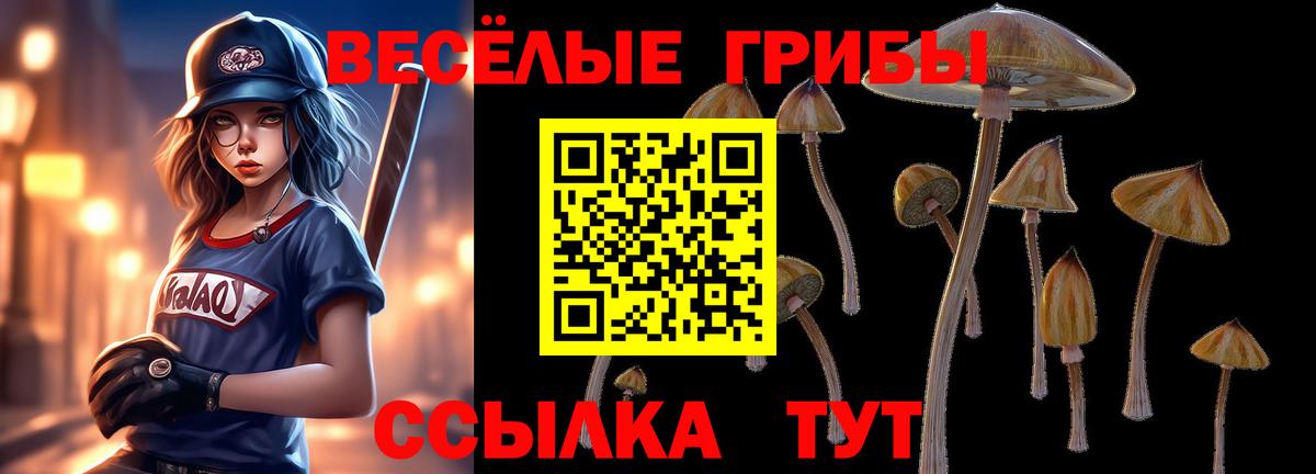 Псилоцибиновые грибы MAGIC MUSHROOMS  где найти наркотики  Йошкар-Ола  Вход с VPN  Галлюциногенные грибы прущие грибы 